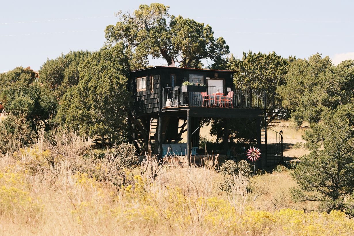 Ashley's Tree House
